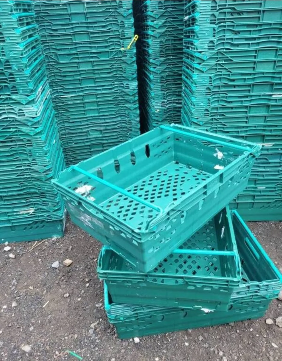 Storage stacking crates 1e each - Image 2