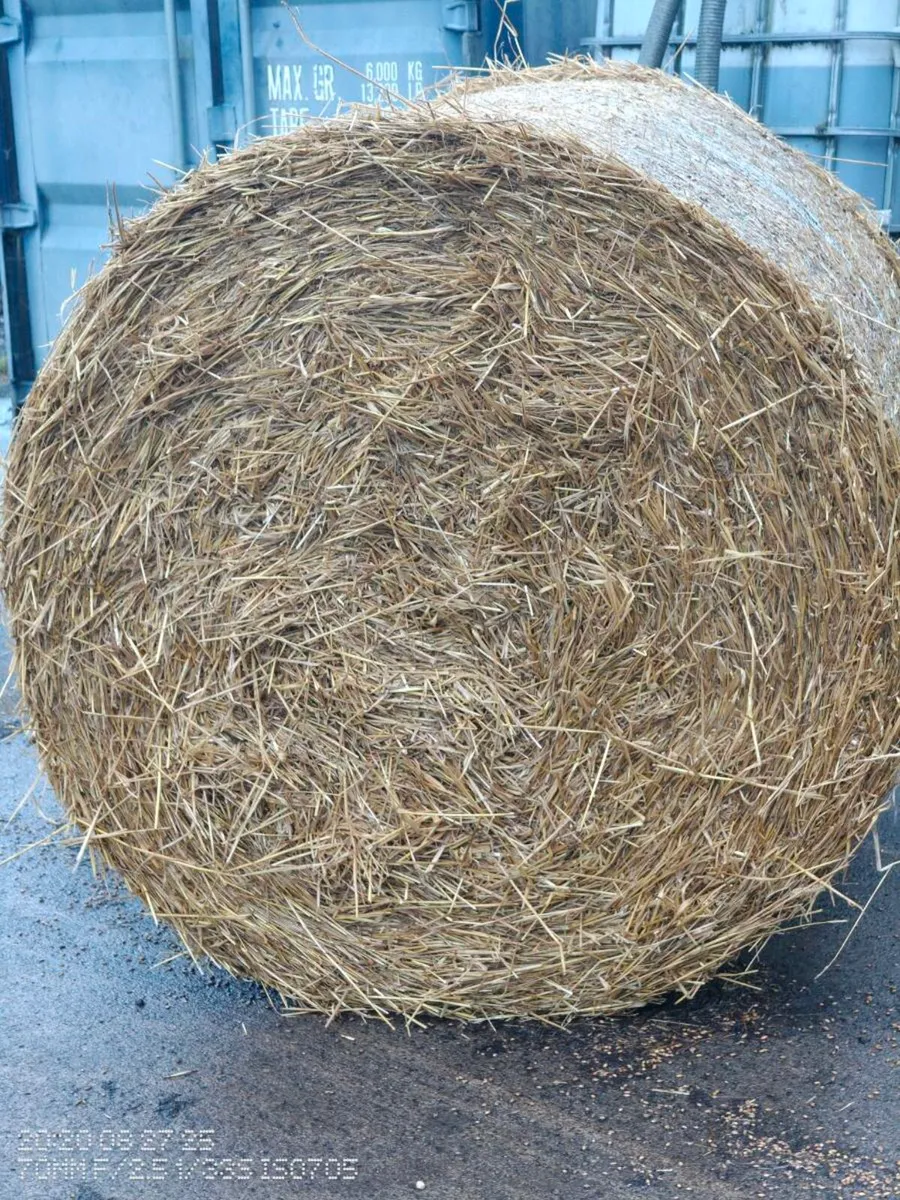 Straw - Image 1