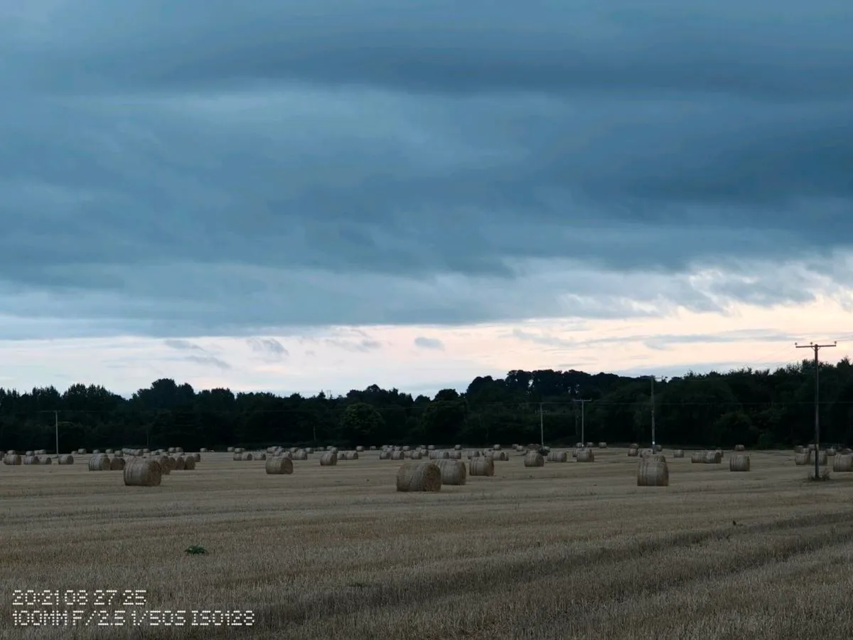 Straw - Image 2