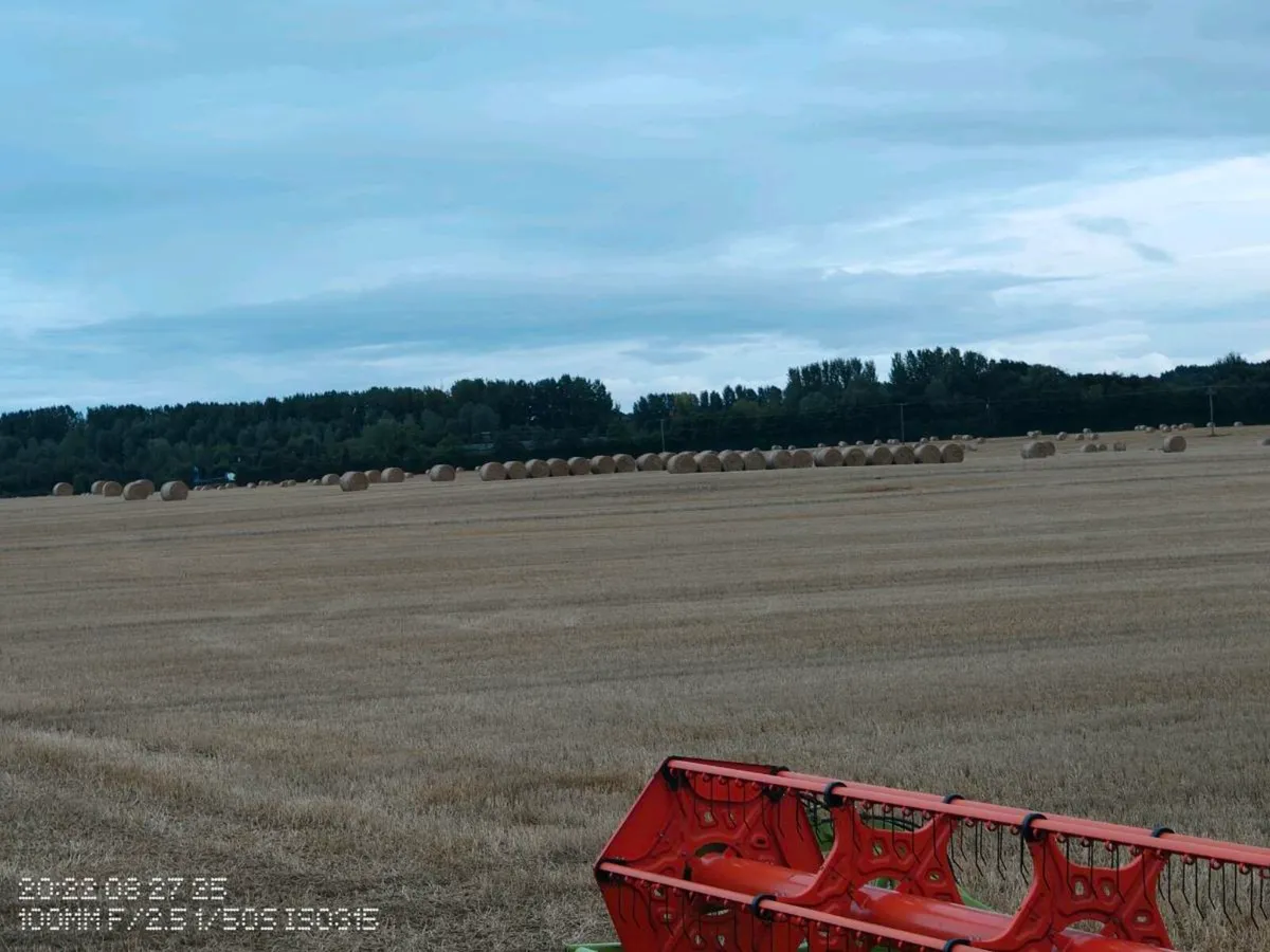 Straw - Image 3