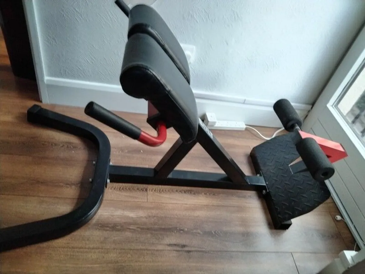 Back Extension Machine - Image 1