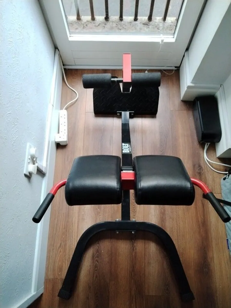 Back Extension Machine - Image 2