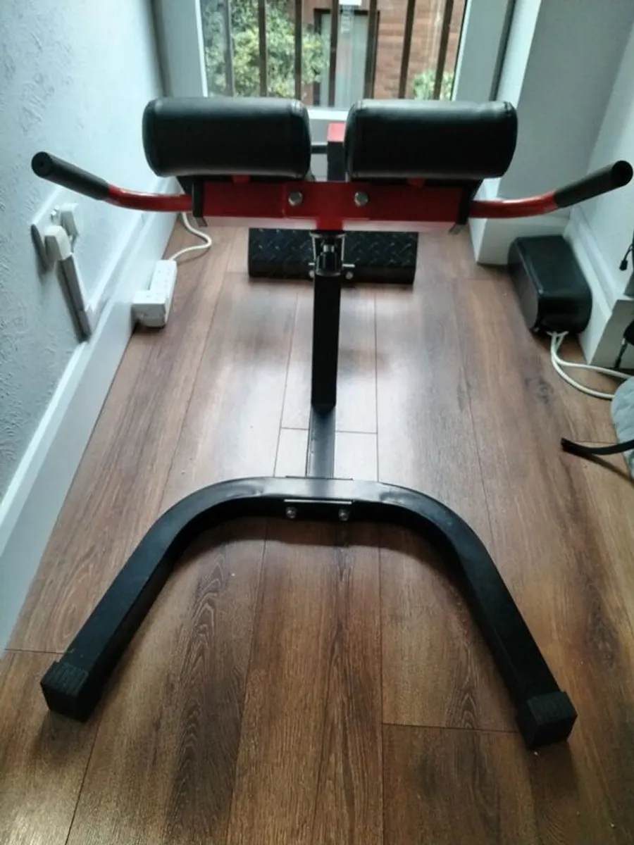 Back Extension Machine - Image 3