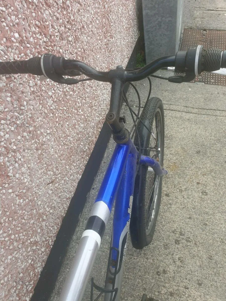 ADULTS MOUNTAIN BIKE - Image 2