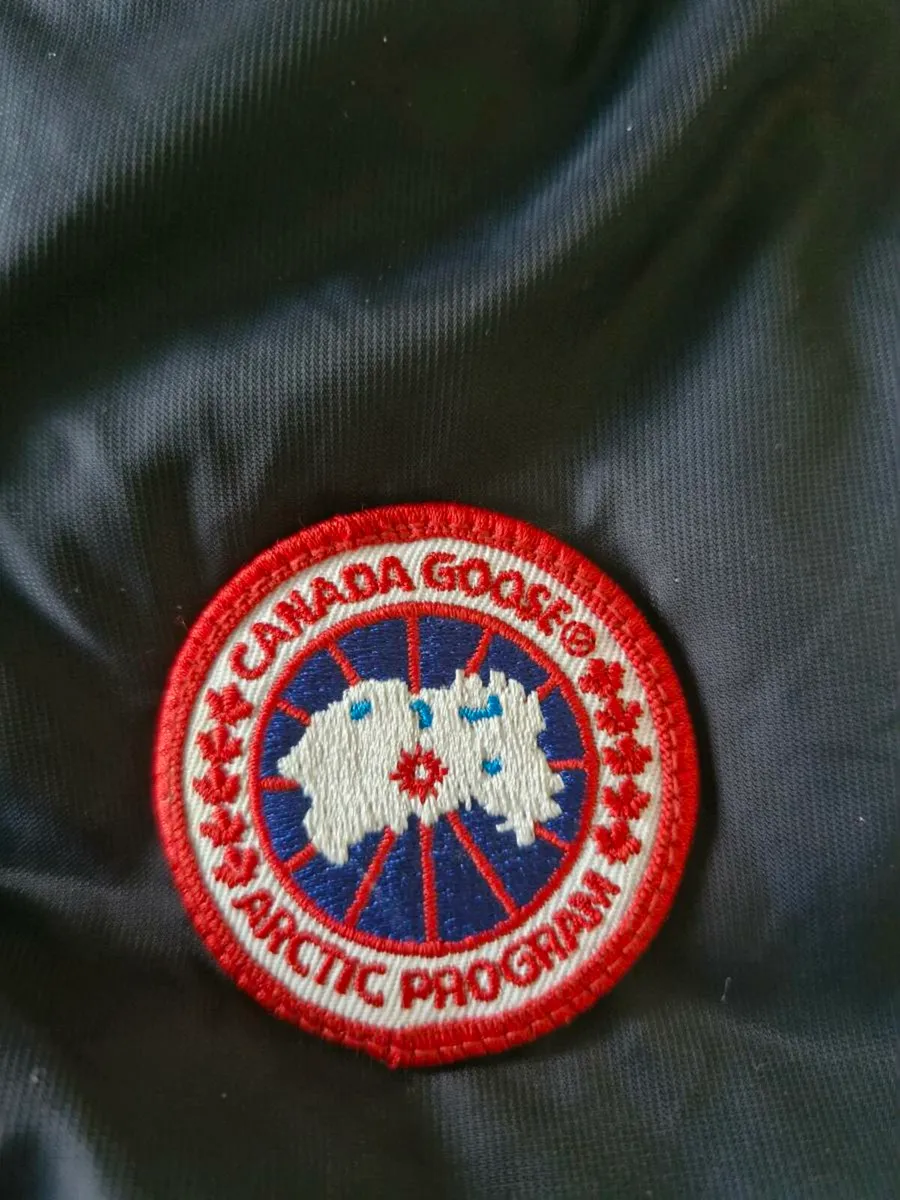 Canada goose - Image 1