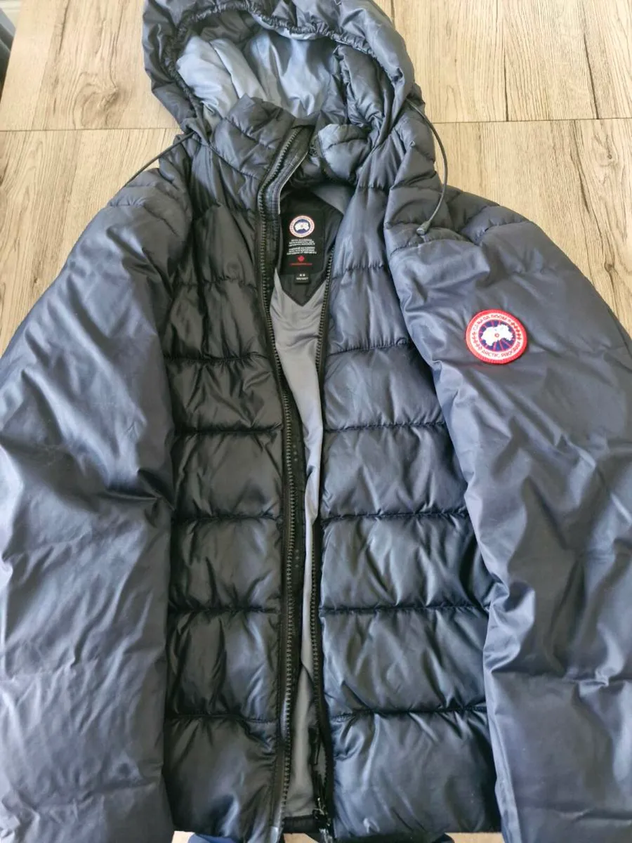 Canada goose - Image 2