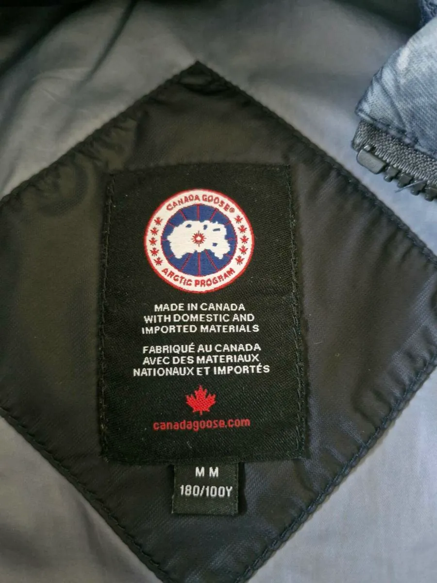 Canada goose - Image 3