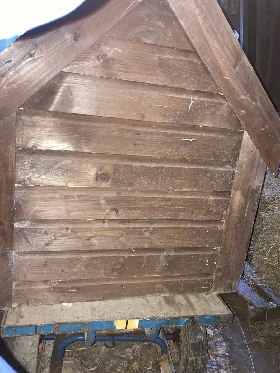 NEVER USED Large Dog kennel - Image 3