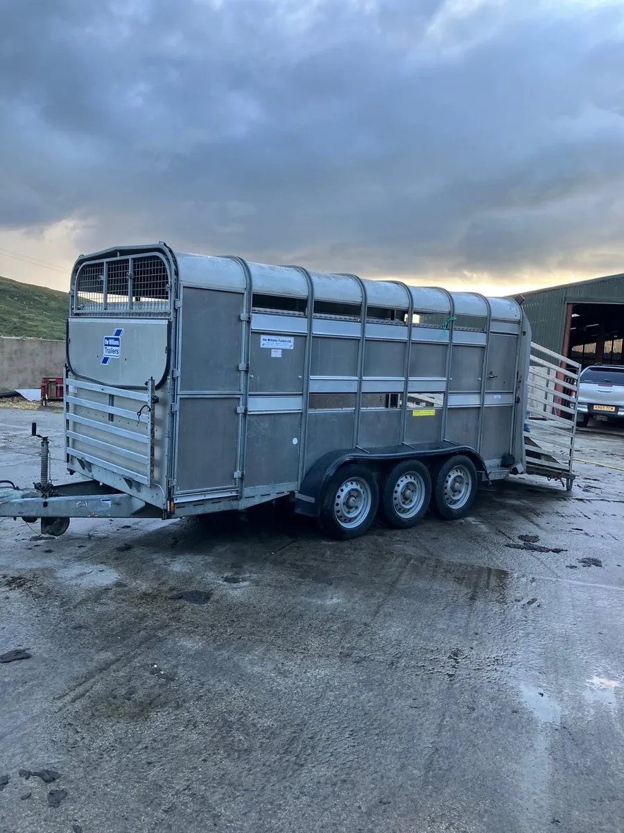 Ifor williams - Image 1
