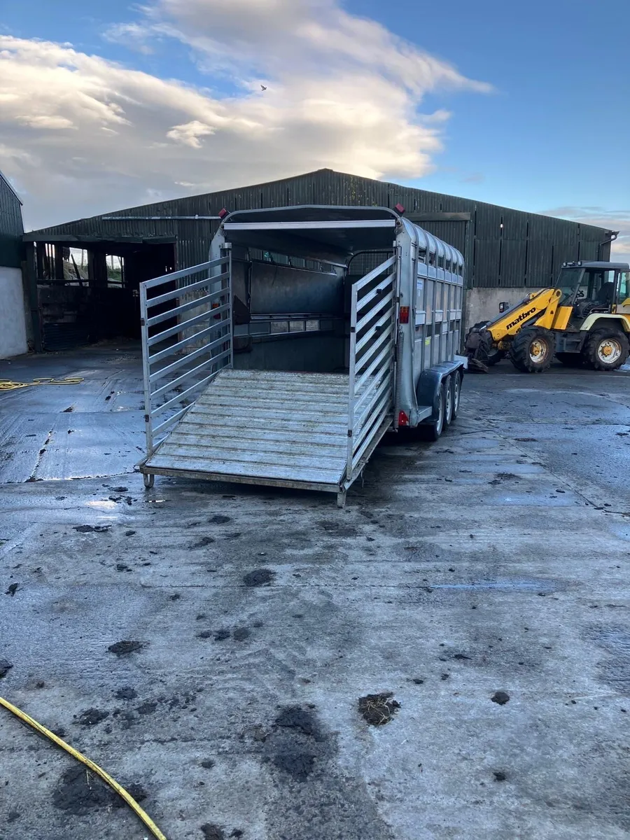 Ifor williams - Image 4
