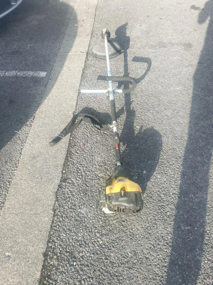 PETROL GRASS STRIMMERS - Image 1