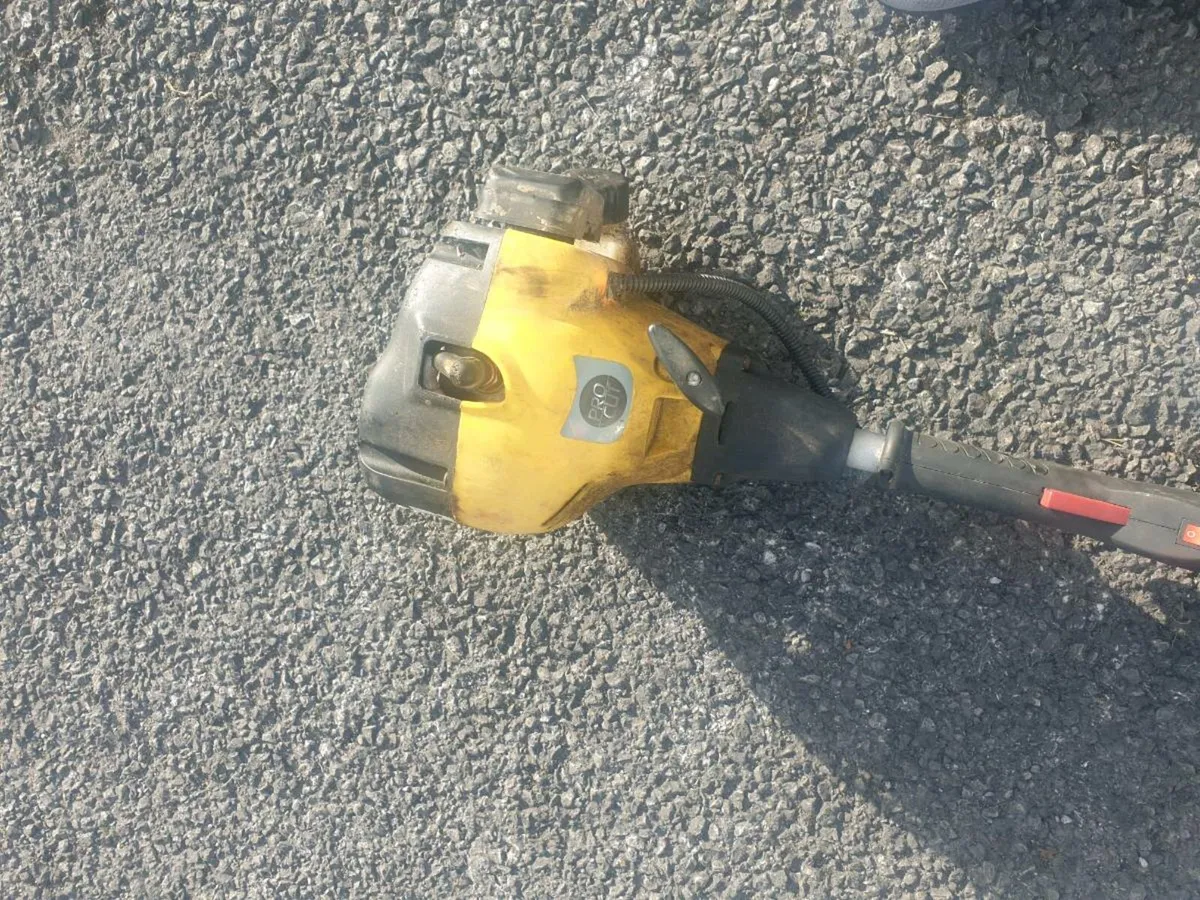 PETROL GRASS STRIMMERS - Image 2