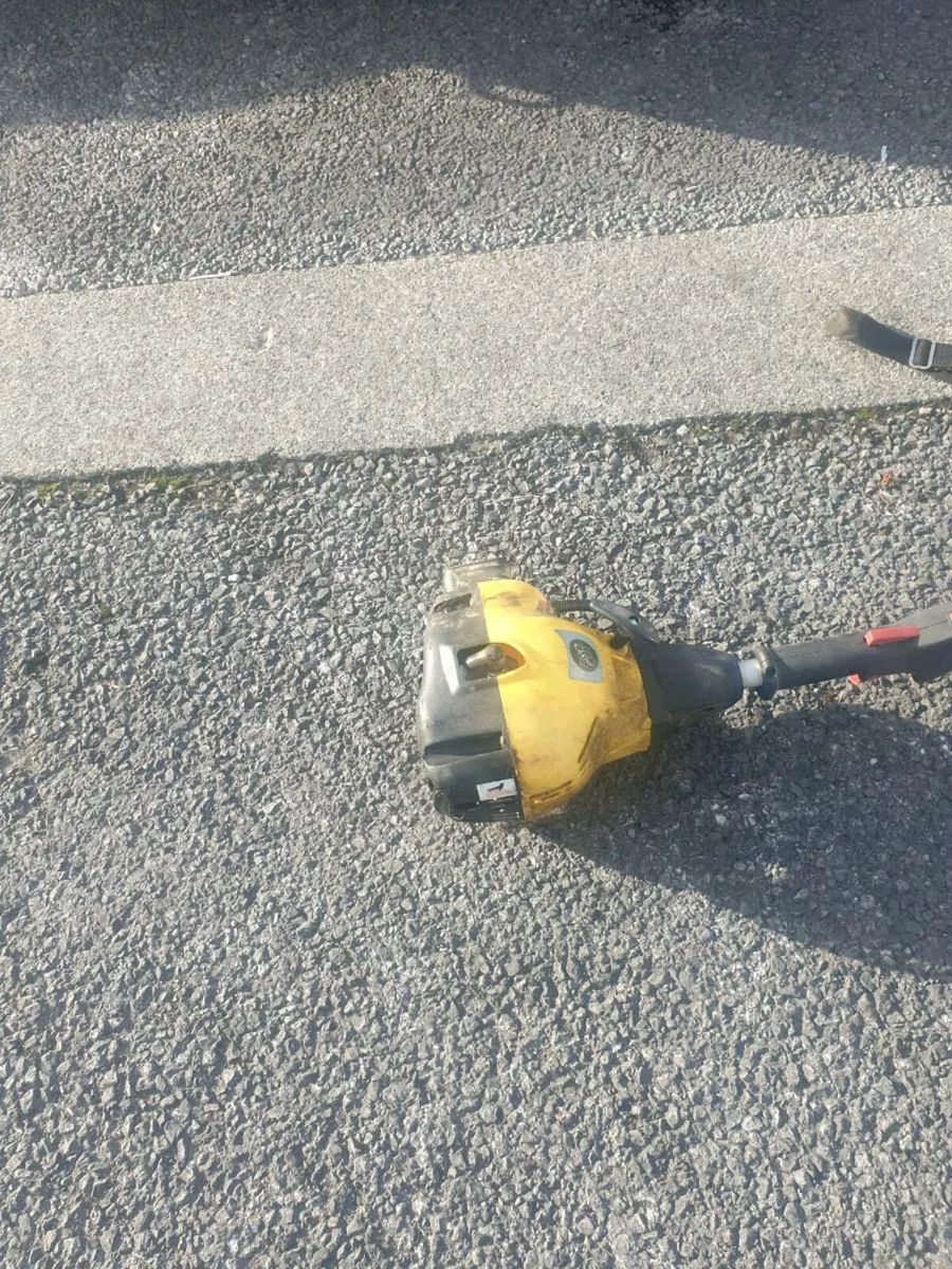 PETROL GRASS STRIMMERS - Image 3