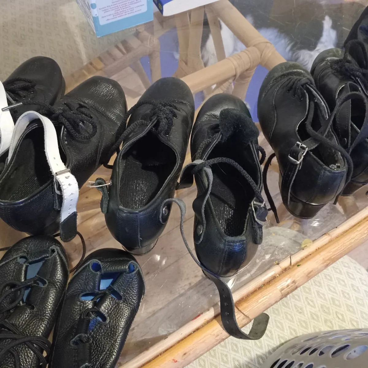 Irish Dancing Shoes - Image 1