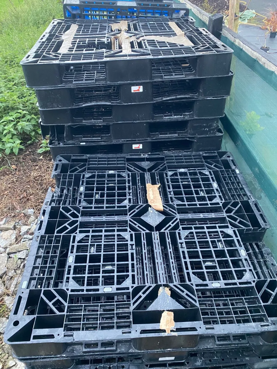 Slightly damaged plastic pallets - Image 2