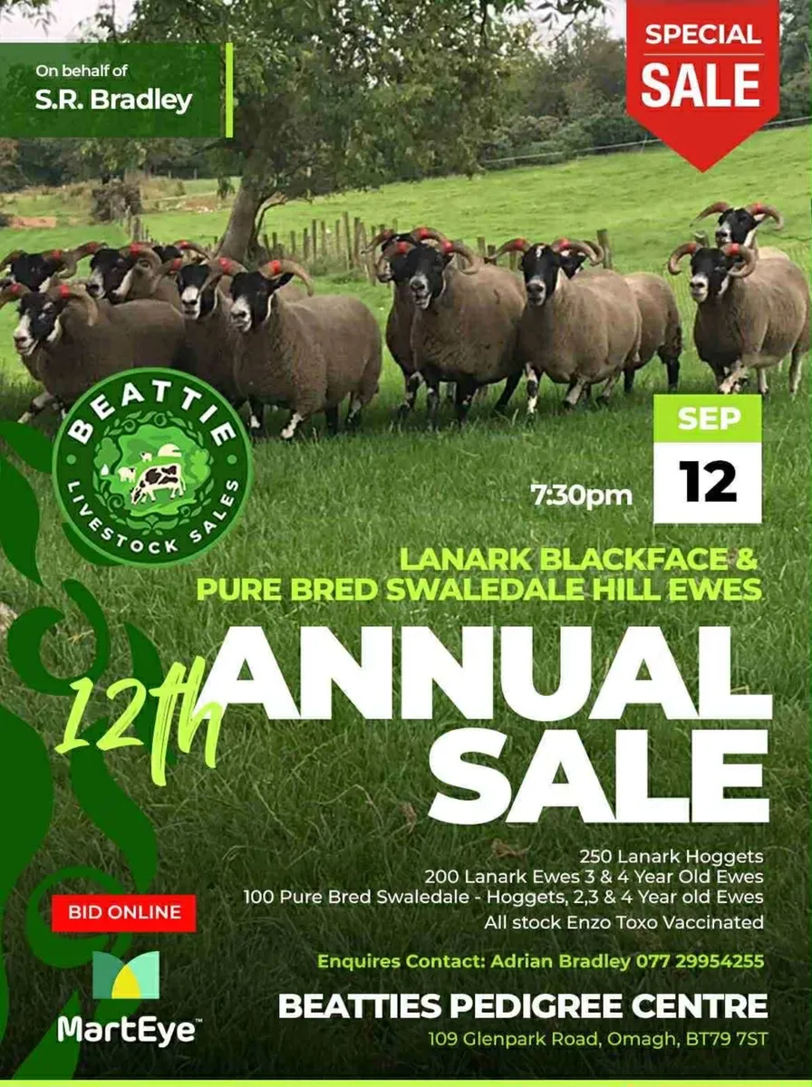 Livestock - Image 1