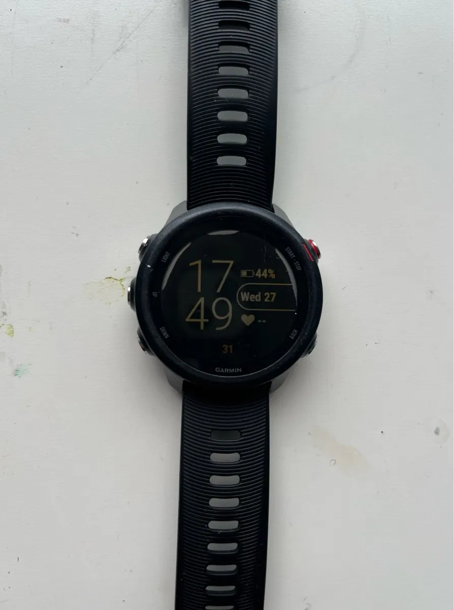 Garmin Forerunner 245 Music - Image 3