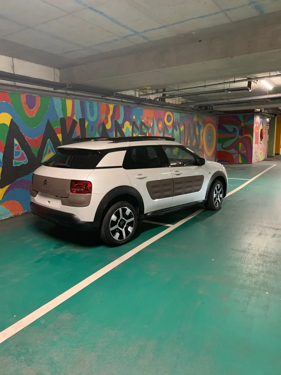 Citroen C4 Cactus 2015 Pan/Roof - Image 2