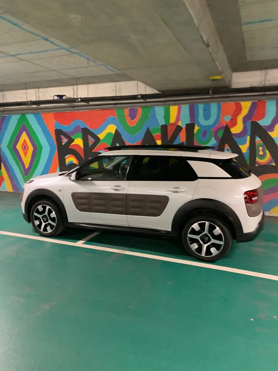Citroen C4 Cactus 2015 Pan/Roof - Image 4