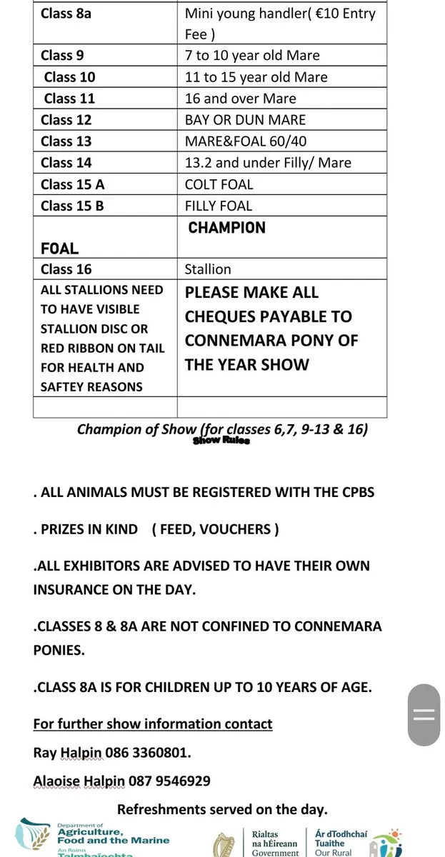 CONNEMARA PONY OF THE YEAR SHOW - Image 2