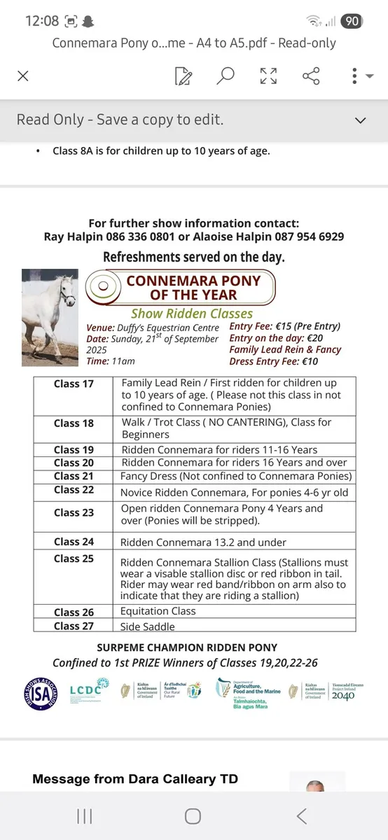 CONNEMARA PONY OF THE YEAR SHOW - Image 4