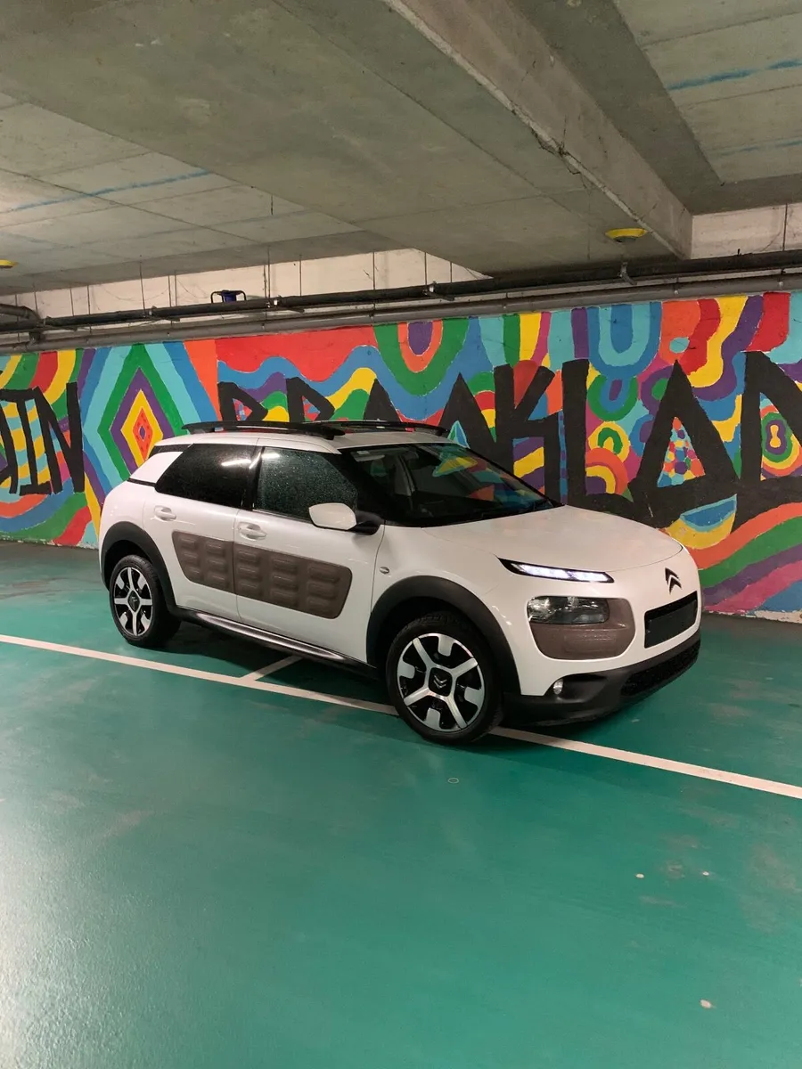 Citroen C4 Cactus 2015 Pan/Roof - Image 1