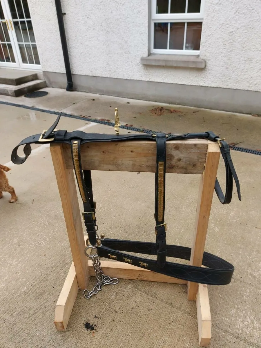 Heavy horse cart harness - Image 1