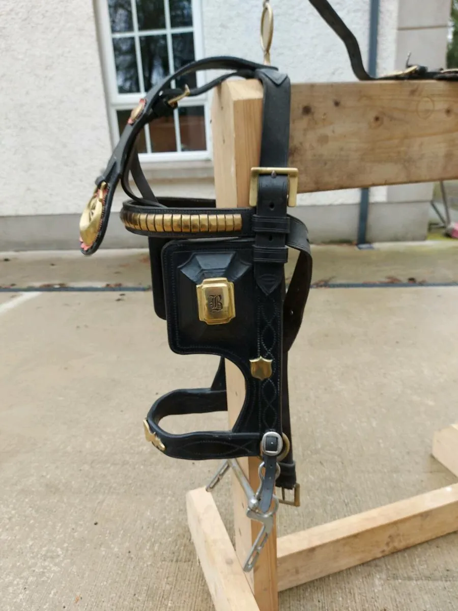 Heavy horse cart harness - Image 2