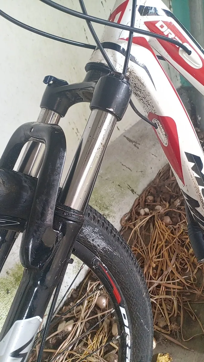 Montana bicycle - Image 2