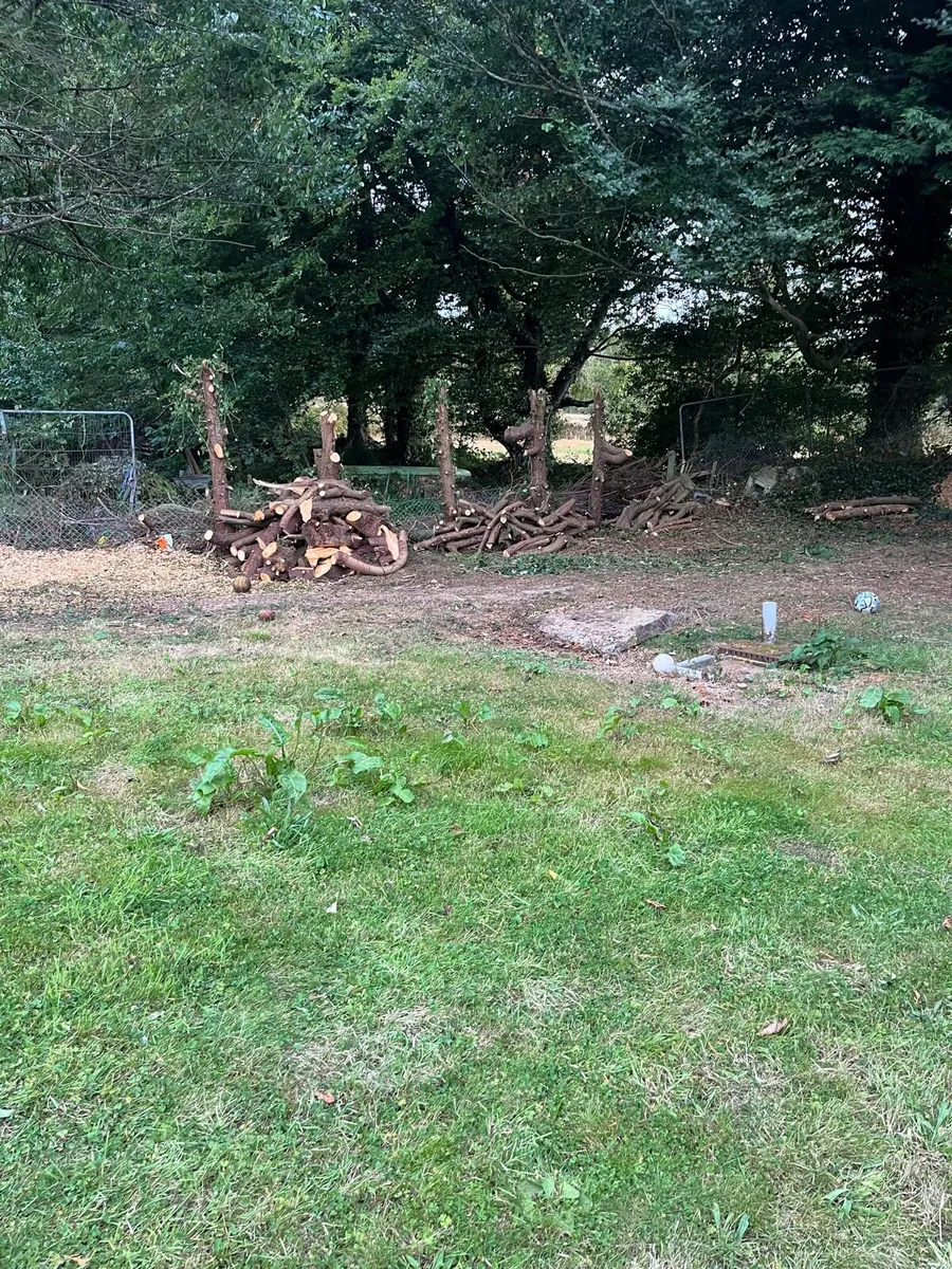Firewood - Image 1