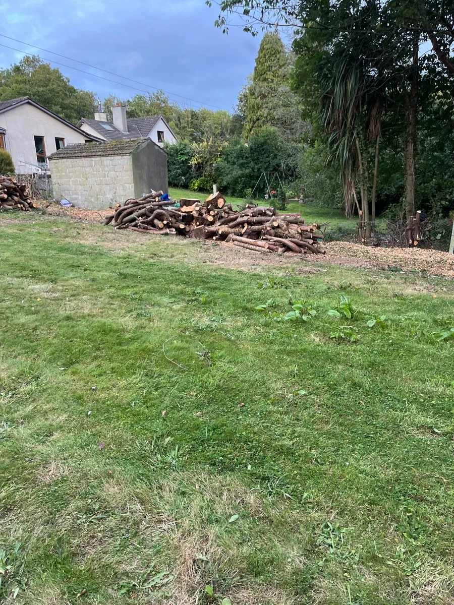 Firewood - Image 2