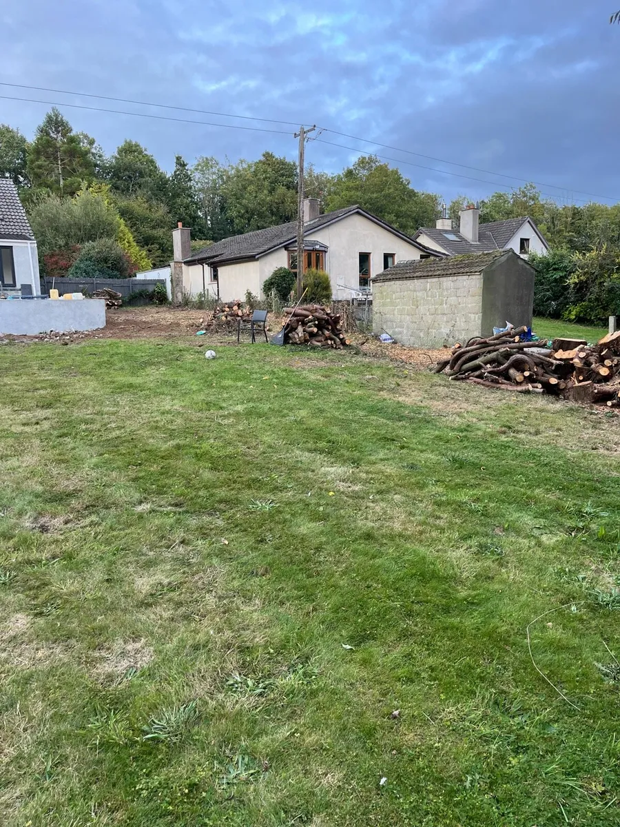 Firewood - Image 3