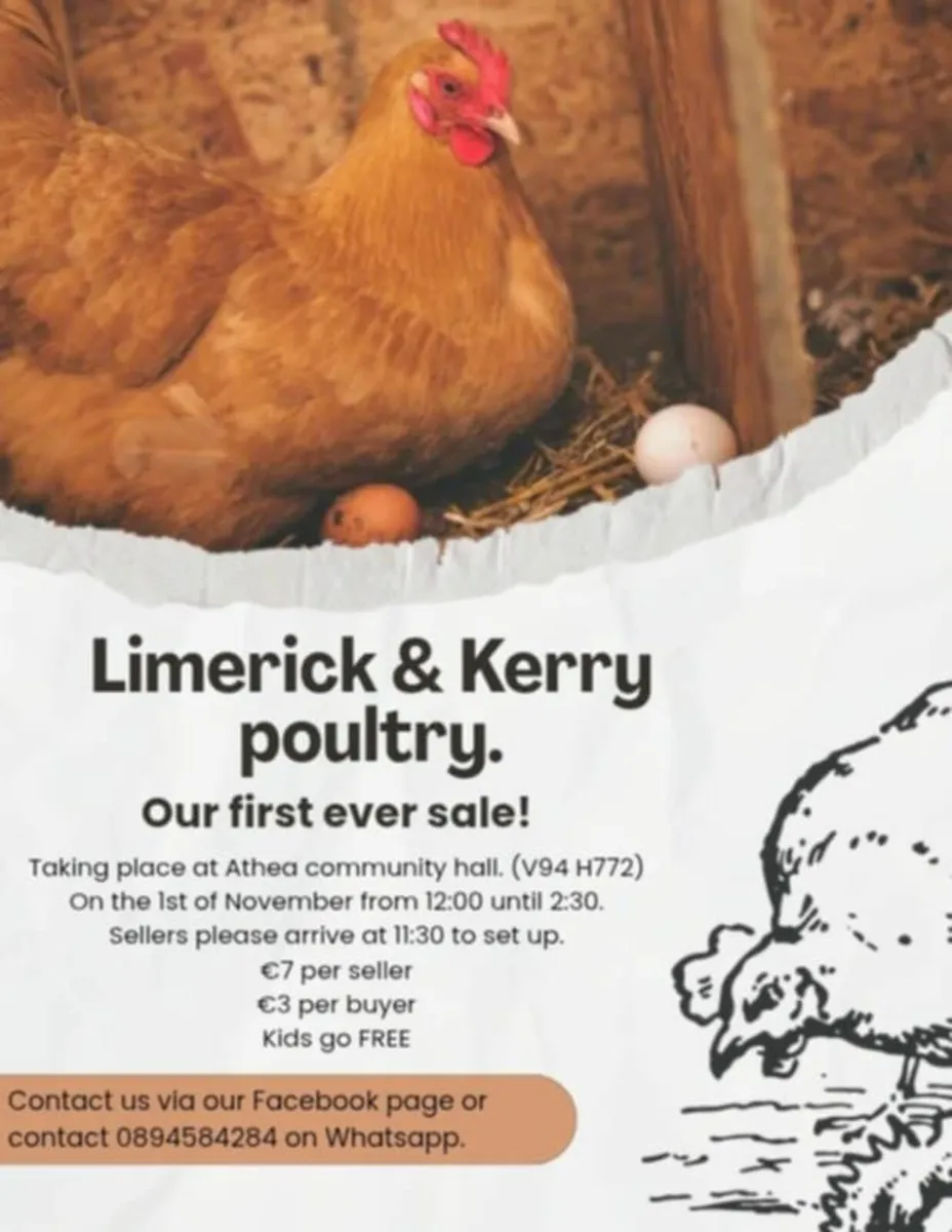 Poultry sale