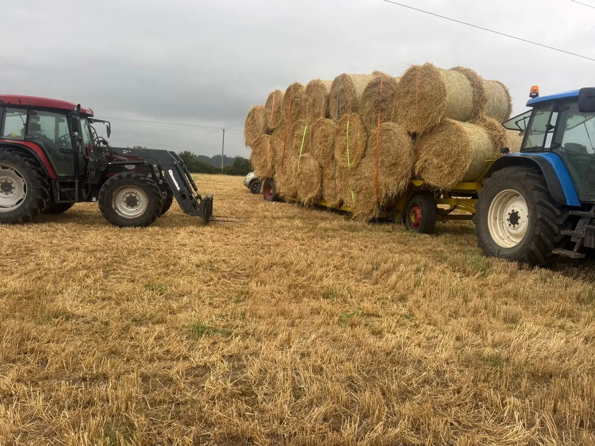 Straw bales - Image 1