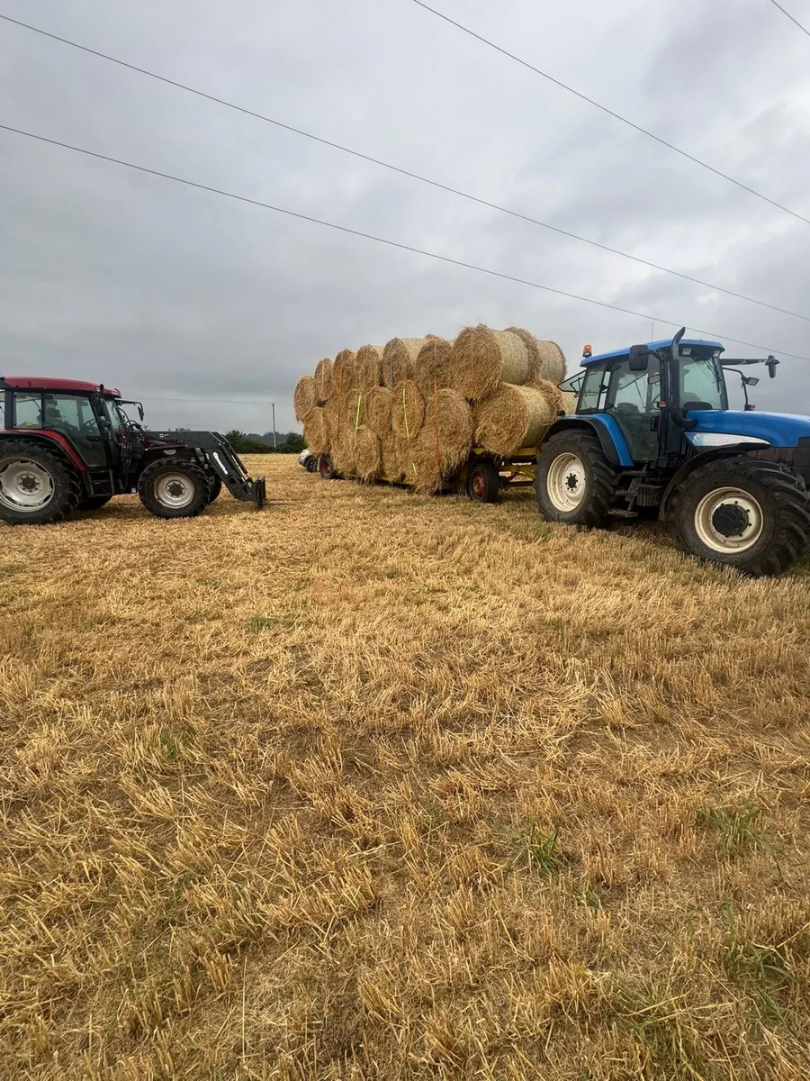 Straw bales - Image 2