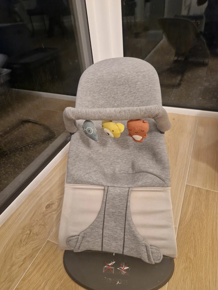 BabyBjorn Bouncer - Image 1