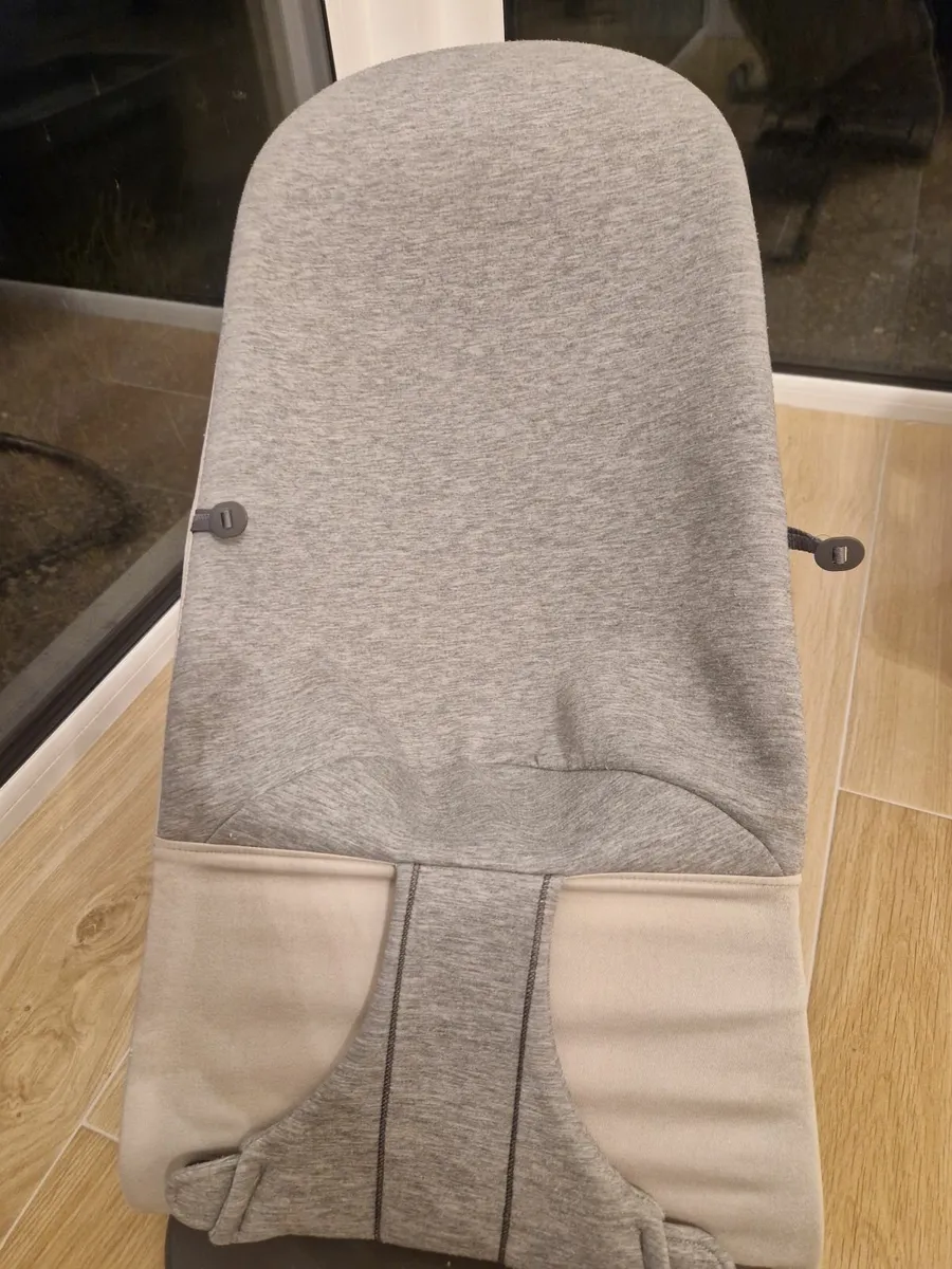BabyBjorn Bouncer - Image 3