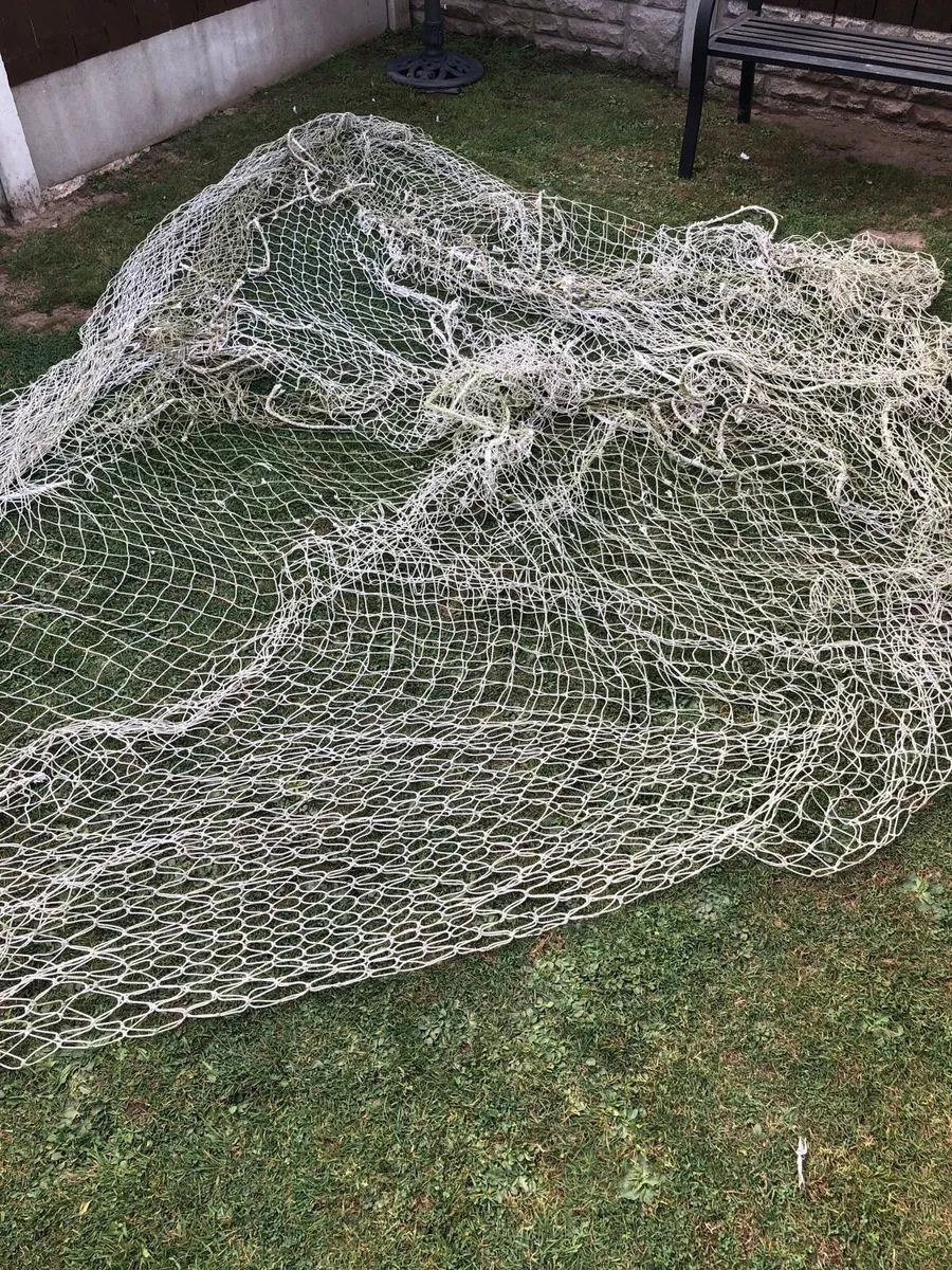 Pair of nets - Image 1