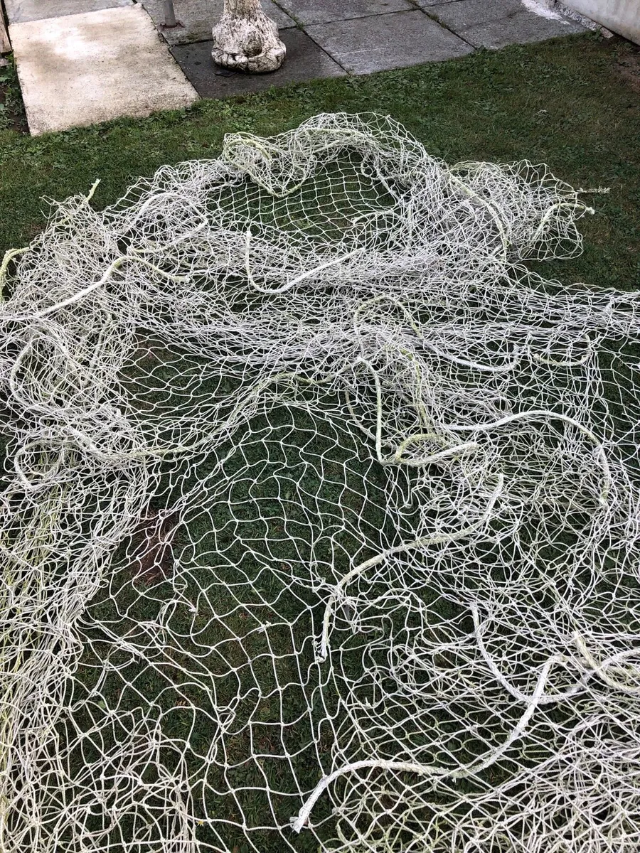 Pair of nets - Image 4