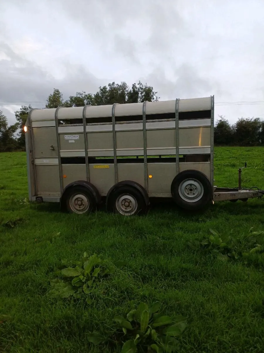 Ifor williams 12 x 5'10 with decks - Image 2