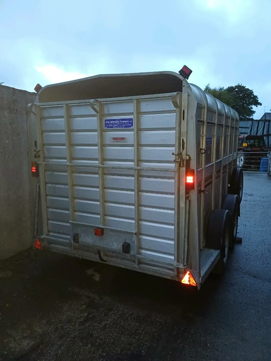 Ifor williams 12ft cattle trailer - Image 2