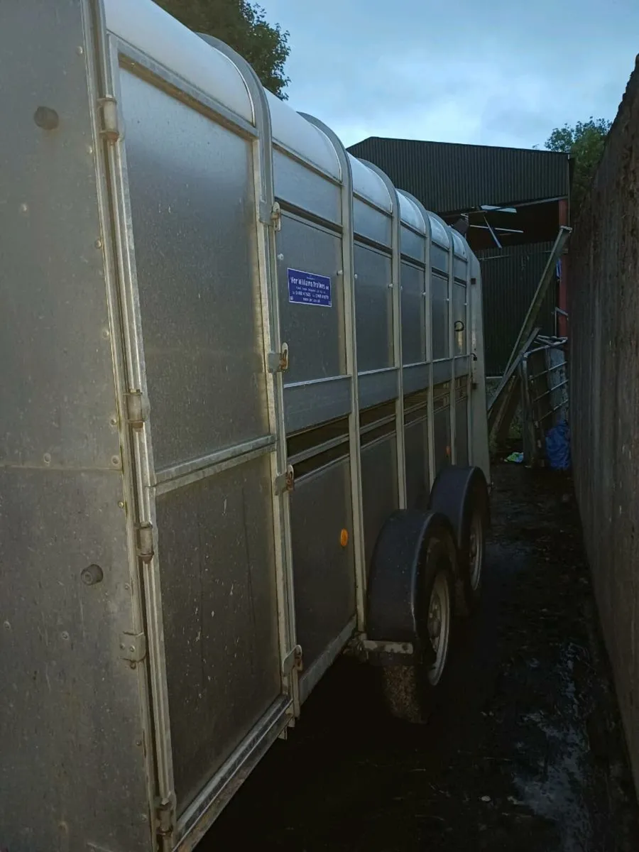 Ifor williams 12ft cattle trailer - Image 3