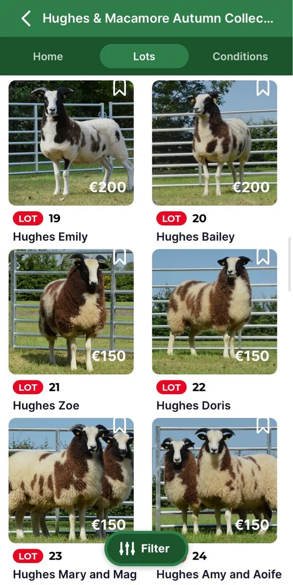 Hughes & Macamore Autumn Collection Timed Sale - Image 4