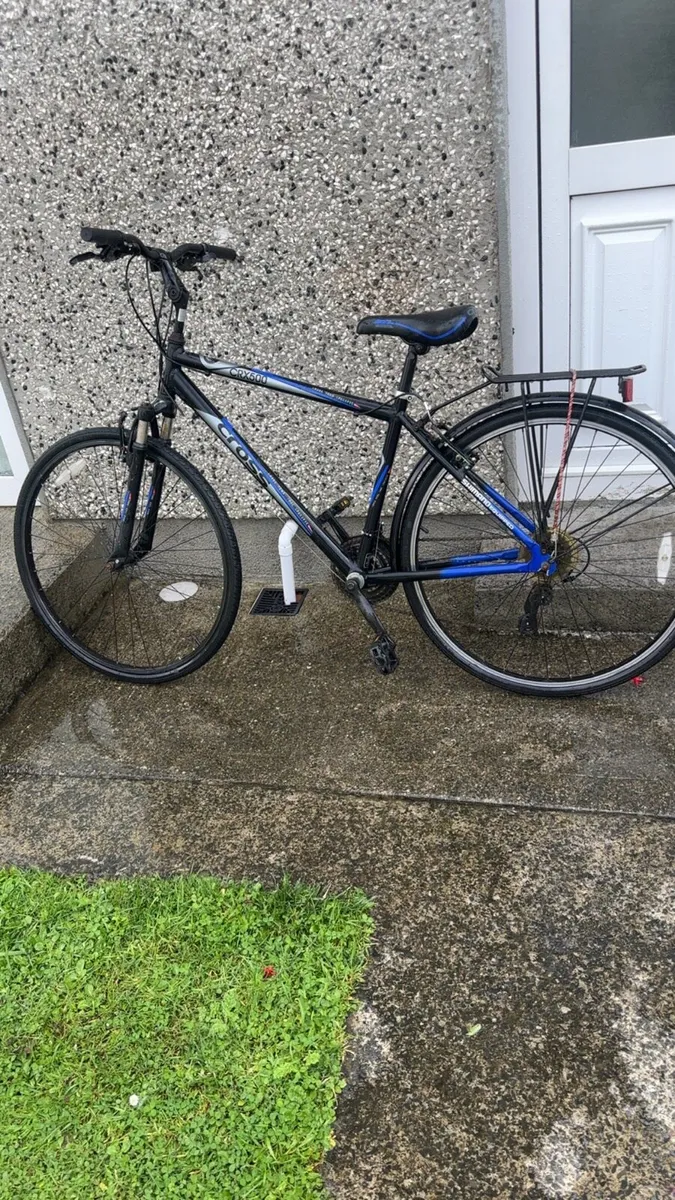 Adult bike - Image 1