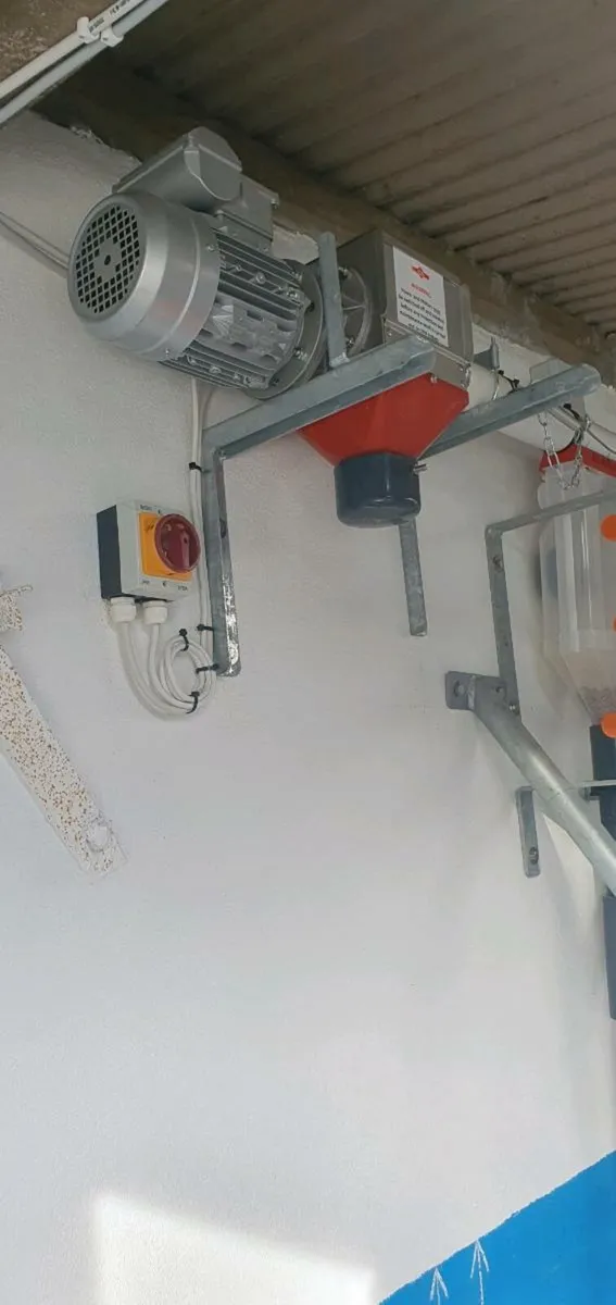 Batch Feed System & Stainless Trough - Image 3