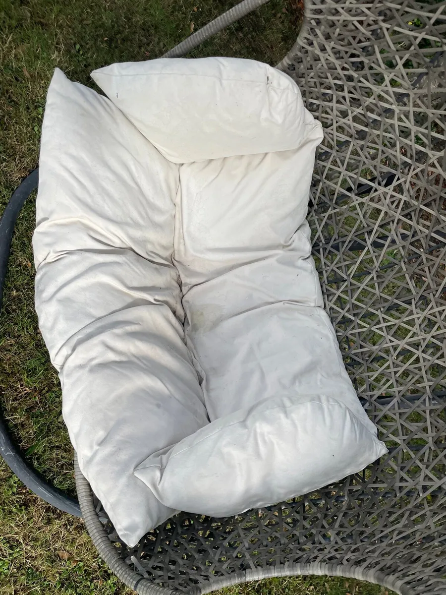 Double garden egg chair - Image 4