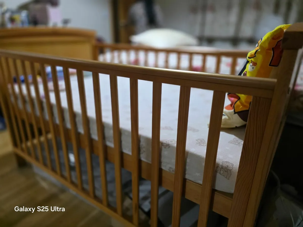 Cot - Image 2