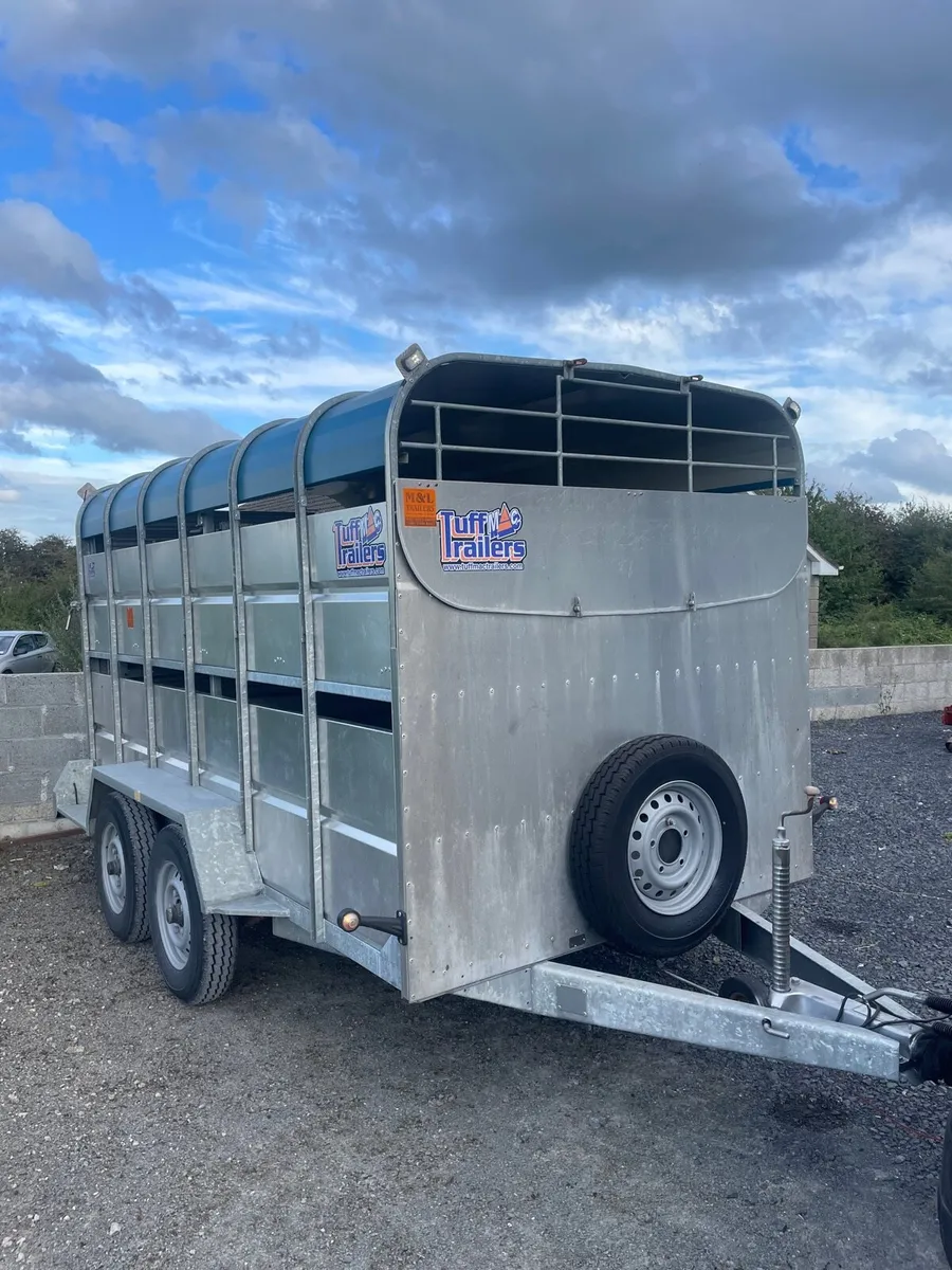 Tuffmac 12x6 cattle trailer with Sheep Decks - Image 2