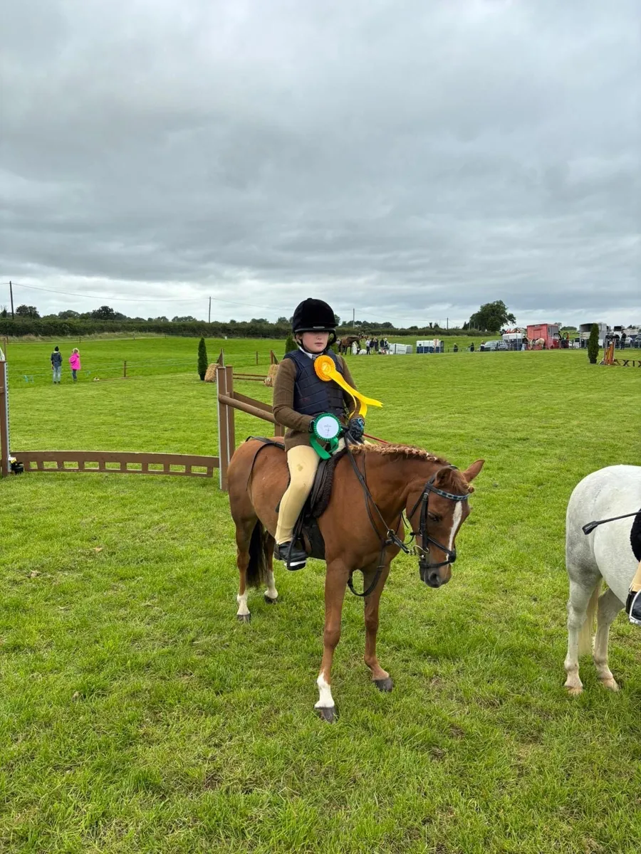 12.2 U10 Pony - Image 2