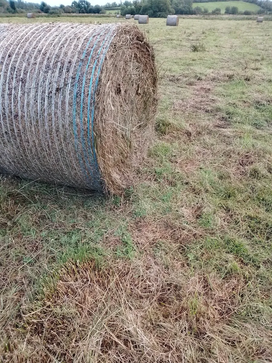 Bales of bedding